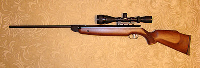 click for enlarge 1024 X 347  59,6 Kb picture