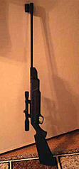 click for enlarge 267 X 573  36,3 Kb picture