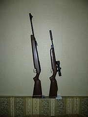 click for enlarge 960 X 1280 594,5 Kb picture