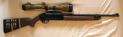 click for enlarge 1000 X 300  70.0 Kb picture
