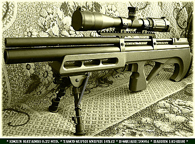 click for enlarge 800 X 590 201.2 Kb picture