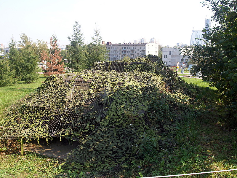 click for enlarge 1920 X 1440 1008,5 Kb picture