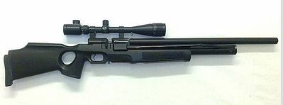 click for enlarge 693 X 257 16,6 Kb picture