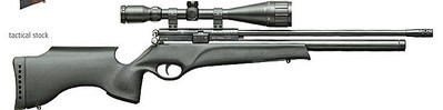 click for enlarge 749 X 186  30,7 Kb picture