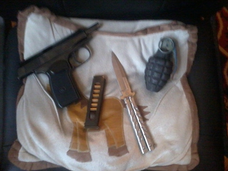 click for enlarge 1024 X 768 251,0 Kb picture