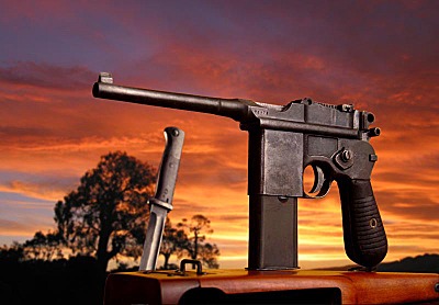 click for enlarge 800 X 556  70.7 Kb picture