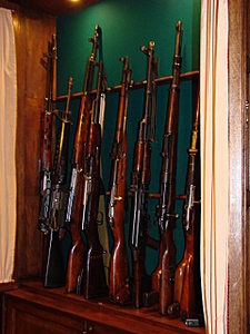 click for enlarge 1920 X 2560 334.5 Kb picture