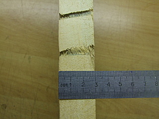 click for enlarge 640 X 480 113,1 Kb picture