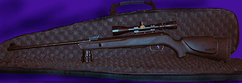 click for 
enlarge 958 X 331 278,2 Kb picture