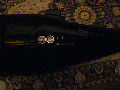 click for 
enlarge 1632 X 1224 451,6 Kb picture