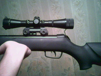 click for 
enlarge 640 X 480  66.2 Kb picture