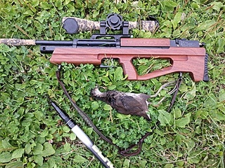 click for enlarge 400 X 300 101.1 Kb picture