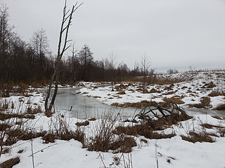 click for enlarge 1920 X 1440 336.2 Kb picture