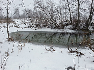 click for enlarge 1920 X 1440 400.2 Kb picture