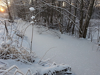 click for enlarge 1920 X 1440 408.9 Kb picture