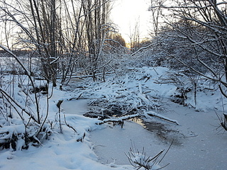 click for enlarge 1920 X 1440 507.8 Kb picture