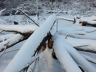 click for enlarge 1920 X 1440 284.2 Kb picture