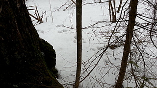 click for enlarge 1920 X 1080 926.6 Kb picture