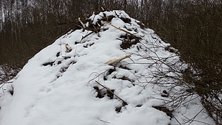click for enlarge 1920 X 1080 849.0 Kb picture