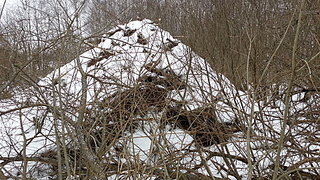 click for enlarge 1920 X 1080 498.3 Kb picture
