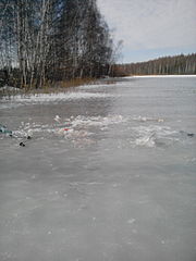 click for enlarge 1920 X 2560 520.2 Kb picture
