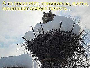 click for enlarge 700 X 525 73.8 Kb picture