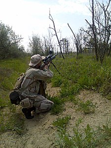 click for enlarge 480 X 640 102,5 Kb picture
