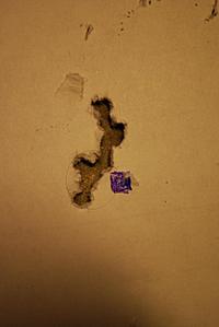 click for enlarge 1920 X 2868 236,2 Kb picture