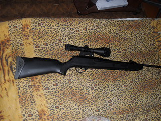 click for enlarge 1024 X 768 334,1 Kb picture