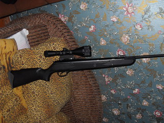 click for enlarge 1024 X 768 331,2 Kb picture