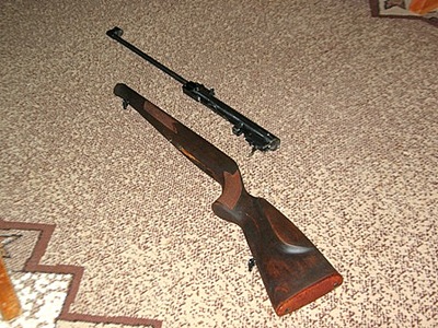 click for enlarge 448 X 336 74,7 Kb picture