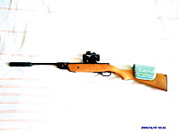click for enlarge 800 X 600 49,1 Kb picture