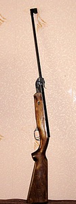 click for enlarge 1364 X 3648 401,5 Kb picture