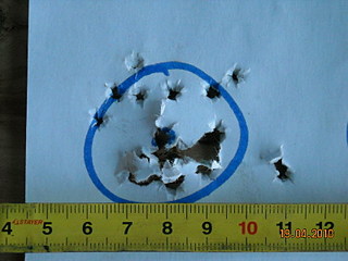 click for enlarge 800 X 600 105,0 Kb picture