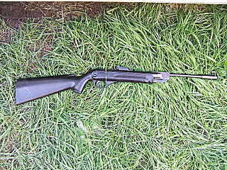 click for enlarge 640 X 480 131.6 Kb picture