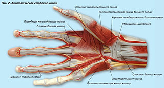 click for enlarge 610 X 328 44.5 Kb