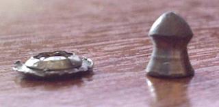 click for enlarge 448 X 220  11,1 Kb picture