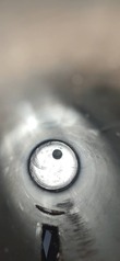 click for enlarge 886 X 1920 75.1 Kb