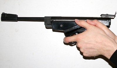 click for enlarge 800 X 467 87,8 Kb picture