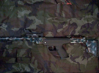 click for enlarge 800 X 592 171,4 Kb picture