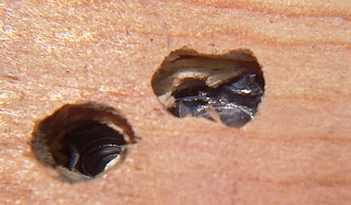 click for enlarge 640 X 374 76.3 Kb picture