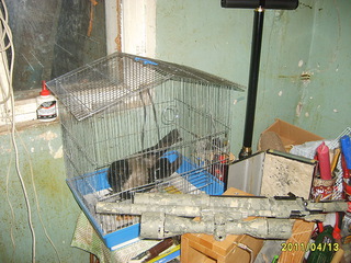 click for enlarge 1024 X 768 407,0 Kb picture