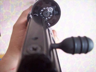 click for enlarge 801 X 600  17,2 Kb picture