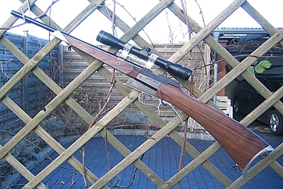 click for enlarge 450 X 300 149.2 Kb