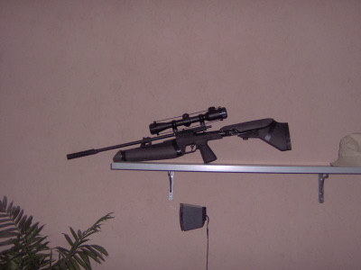 400 x 300