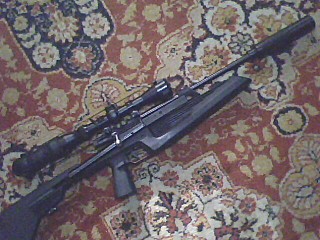 click for enlarge 640 X 480  83,4 Kb picture