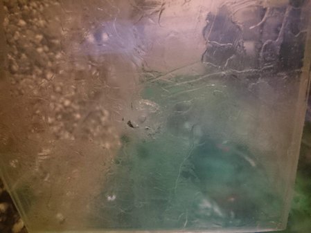 click for enlarge 449 X 600 139.7 Kb