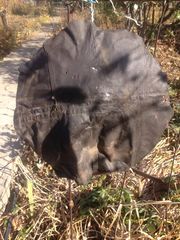 click for enlarge 960 X 1280 198.6 Kb