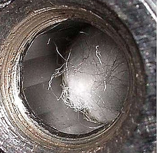 click for enlarge 352 X 344 354,8 Kb picture