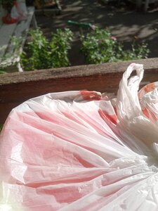 click for enlarge 960 X 1280 136.8 Kb